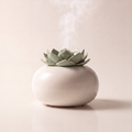 Lotus Aroma Diffuser — Green & White